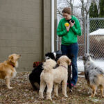Dog Training Near Me Southtown for Happy Obedient Pets